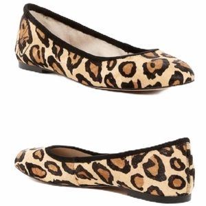 Sam Edelman Fritz Leopard Print Flat Sz 6.5